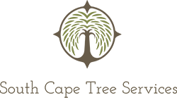 South Cape Tree Services - Cape Cod